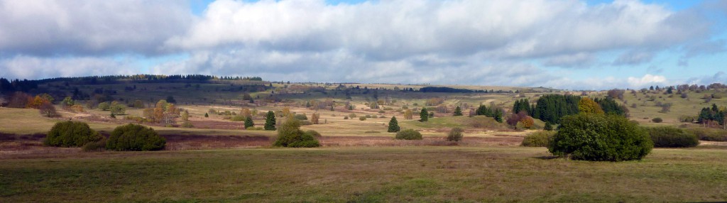 BILD_Lange Rhön bearbeitet Hochebene der Langen Rhön mit Borstgraswiesen