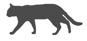BILD_Wildkatze_Logo