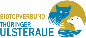 LOGO_ulsteraue_transparent